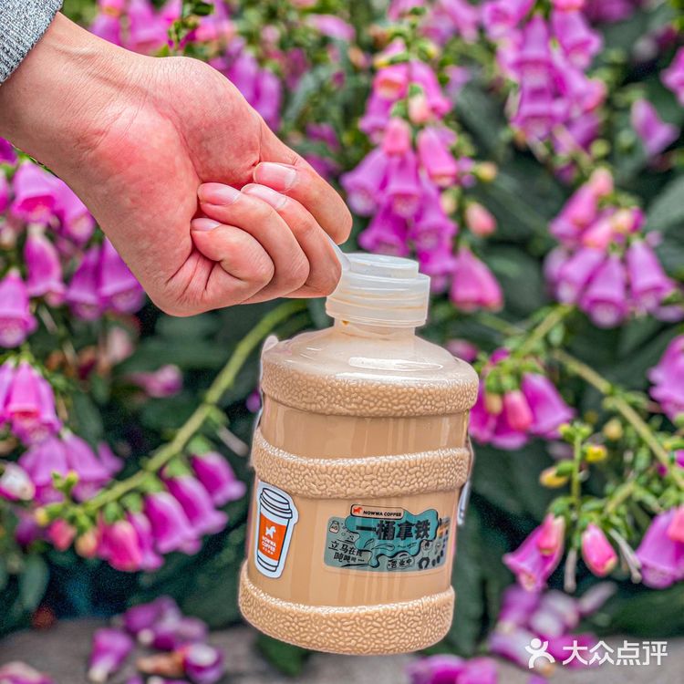 火爆全网真椰咖啡限定升级回归🥥一口夏天谁能顶得住‼️