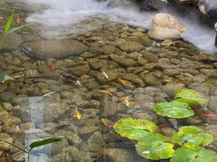 -绣园·茶食宴(湘绣博物馆店)