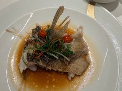 青花椒蒸老虎斑-伯衡55·吉品轩(乌鲁木齐南路店)