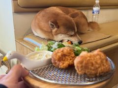 -柴の食堂·日式家庭料理·熊之肆(大学路店)