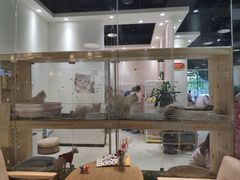 -藏猫猫咖啡主题馆(中央大道店)