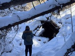 -峡谷浮石林景区