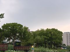 -新江湾城公园