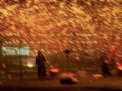 -宁波野生动物园
