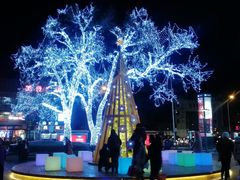 -Global酒吧(五道口店)