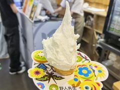 -野人先生现做冰淇淋(北京顺义祥云小镇店)
