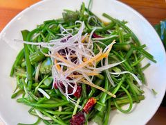 -菌自由丨野生菌火锅特色庭院餐厅(丽江古城店)