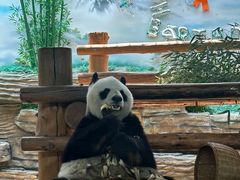 -西霞口神雕山野生动物世界