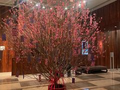 -香港尖沙咀凯悦酒店