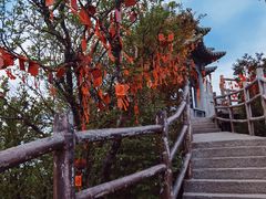 -老君山风景名胜区