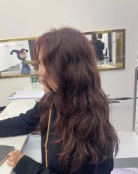 -IP SALON