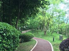 -樱桃山旅游景区