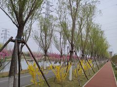 -永定河休闲森林公园