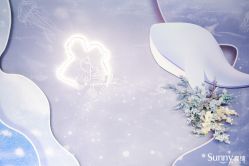 -Sunny喜铺婚礼定制·求婚策划