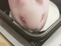 -吉野家(学院路店)