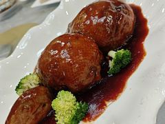-丁老爷子苏香圆
