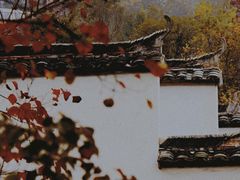 -塔川景区