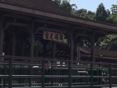 -金盆阿嬷香菇茶叶蛋(玄光店)