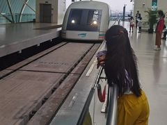 -龙阳路磁悬浮列车总站-停车场