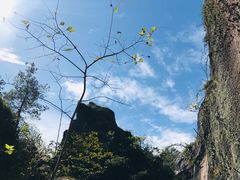 -伍山海滨石窟