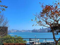 -讯号山花园