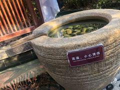 -悦隆庄温泉度假酒店