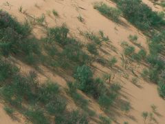 -银肯塔拉沙漠生态旅游景区