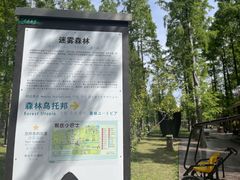 -黄海国家森林公园