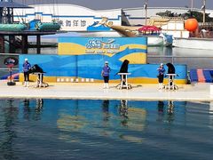 -秦皇岛乐岛海洋王国