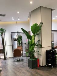 -崇尚GAVIN STYLE臻选