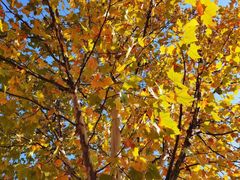 -天津东丽湖风景区