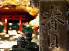 -奈良公园