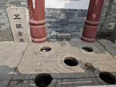 -荔湾湖公园
