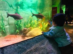 -沈阳海洋探索中心