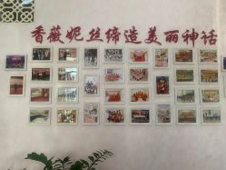 -香薇妮丝·定制减肥·身材管理