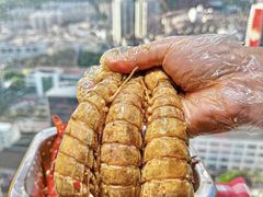 -吉利龙虾·新派海鲜烧烤