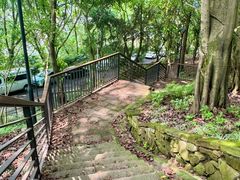 -龙泉洞(沙坪坝区)