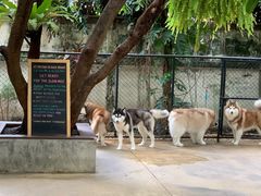 -TrueLove @ Neverland (Husky Cafe)