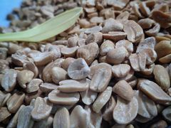 -清真老马家国华牛奶鸡蛋醪糟(正宁路店)