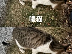-上海植物园-4号门售票处