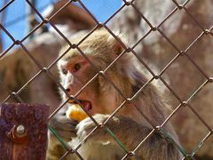 -新疆天山野生动物园