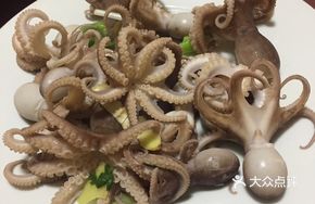 Ginger Squid