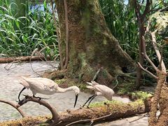 -同里国家湿地公园