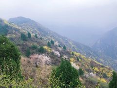 -秦岭风景区