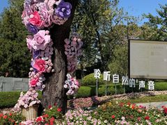 -云溪植物园