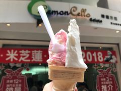 柠檬车露-柠檬车露(卖草地店)