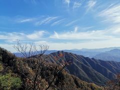 -王顺山国家森林公园