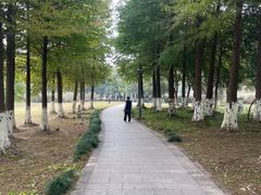 -长广溪湿地公园