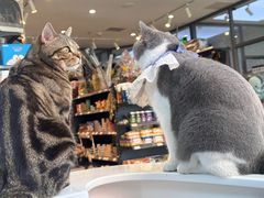 -萌兽医馆·眼科·异宠专科(三里屯店)