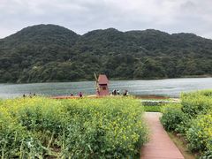 -广州市石门国家森林公园